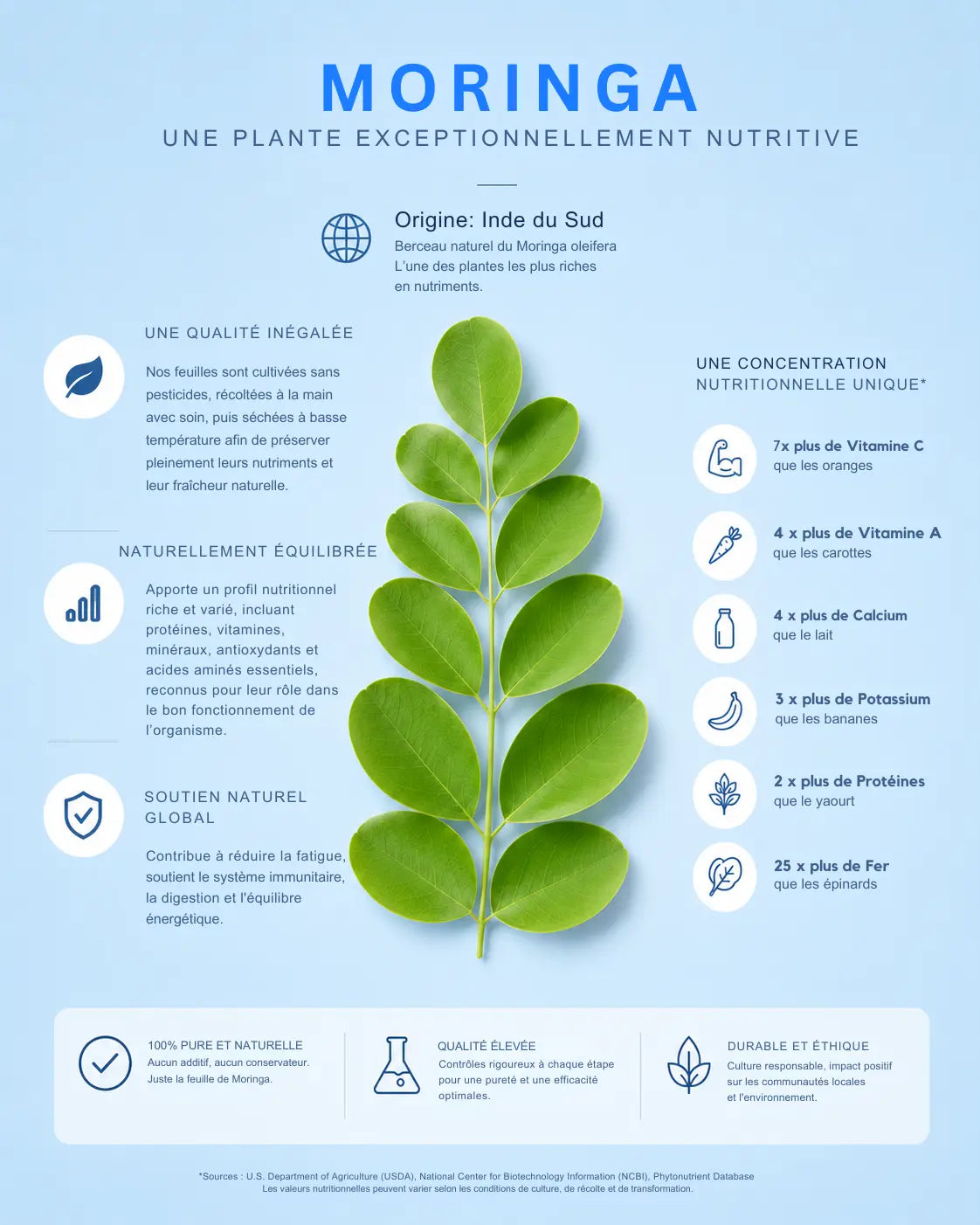 Moringa 100% Naturel Une Vie Healthy